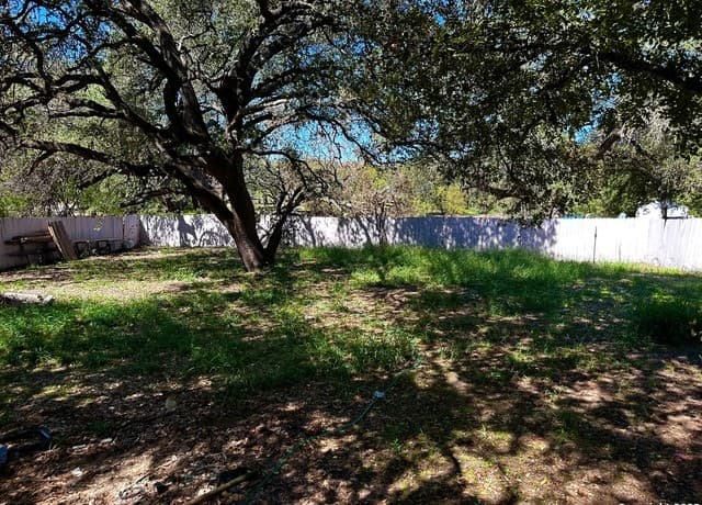 3911  Anaqua Dr, Elmendorf, TX 78112 — photo 2