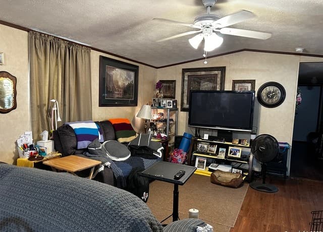 3911  Anaqua Dr, Elmendorf, TX 78112 — photo 5