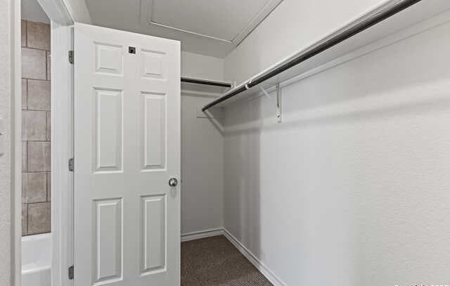 11511  Creek Eagle, San Antonio, TX 78245 — photo 19