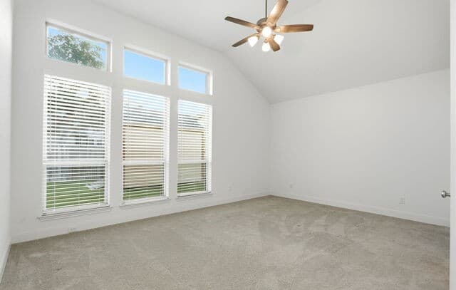 10123  Dapple Colt, San Antonio, TX 78254 — photo 22