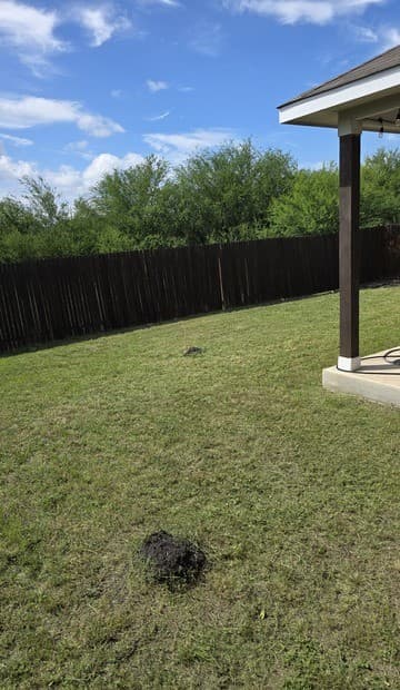 4806  Belgravia Park, Converse, TX 78109 — photo 15