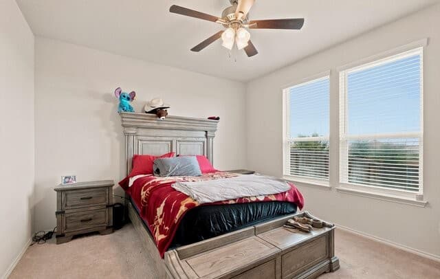 10346  McQueeney, San Antonio, TX 78252 — photo 16
