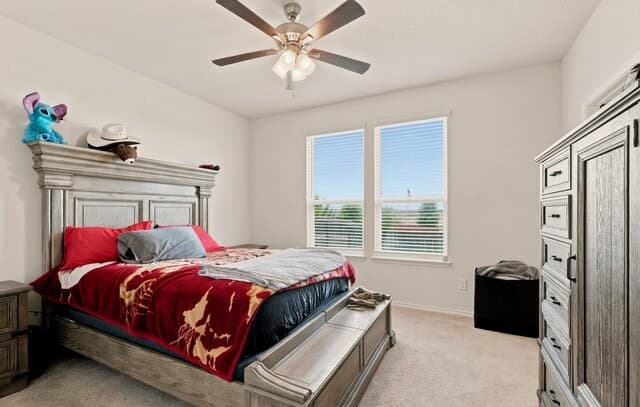 10346  McQueeney, San Antonio, TX 78252 — photo 17