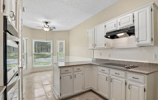 25010  Arrow Rdg, San Antonio, TX 78258 — photo 15