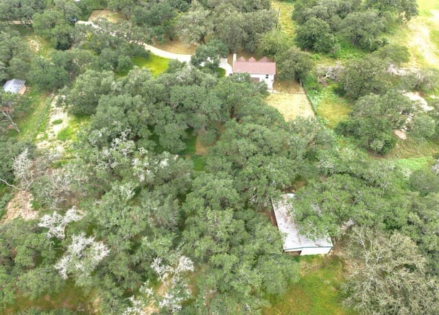 1591  County Road 320, Floresville, TX 78114 — photo 16