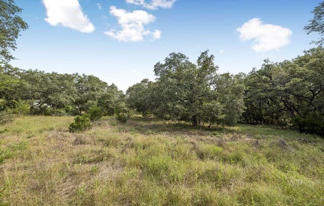 TRACT 12 - 26  Seewald, Boerne, TX 78006 — photo 3