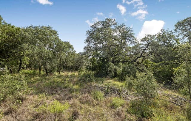 TRACT 12 - 26  Seewald, Boerne, TX 78006 — photo 4