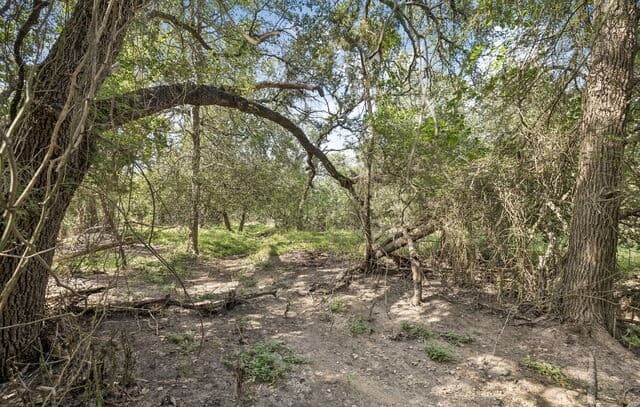 TRACT 12 - 26  Seewald, Boerne, TX 78006 — photo 5