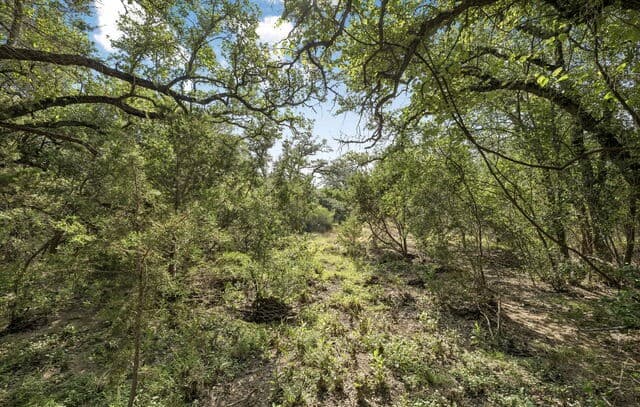 TRACT 12 - 26  Seewald, Boerne, TX 78006 — photo 6