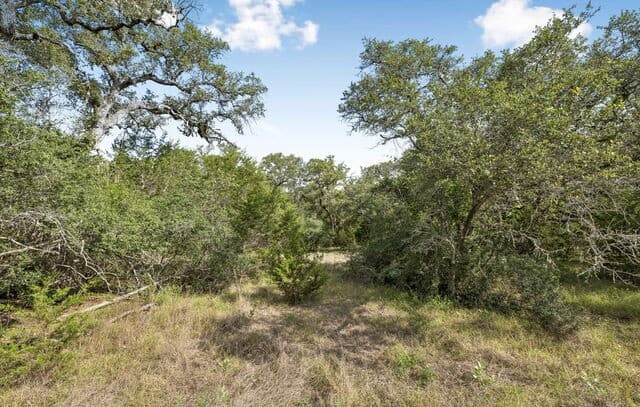 TRACT 12 - 26  Seewald, Boerne, TX 78006 — photo 9