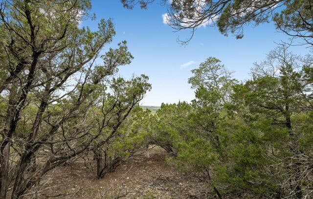 TRACT 18 - 26  Seewald, Boerne, TX 78006 — photo 13