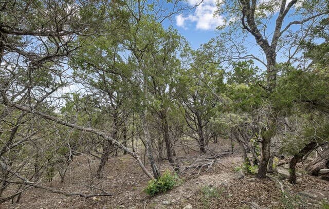 TRACT 18 - 26  Seewald, Boerne, TX 78006 — photo 16