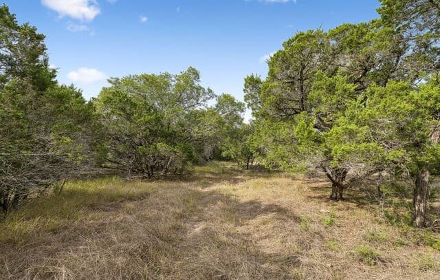 TRACT 18 - 26  Seewald, Boerne, TX 78006 — photo 3