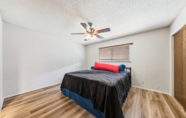 323 Madrid, Universal City, TX 78148 — photo 17