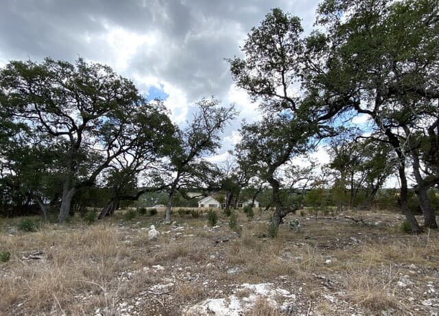 140  Fly Line Trl, New Braunfels, TX 78132 — photo 2