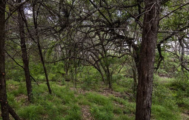 TBD  Dry Creek Crossing, New Braunfels, TX 78130 — photo 5