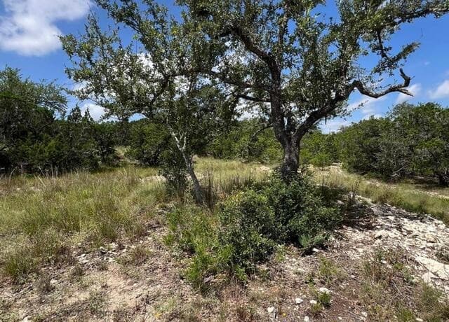 1188  Cliff Dr, Spring Branch, TX 78070 — photo 11