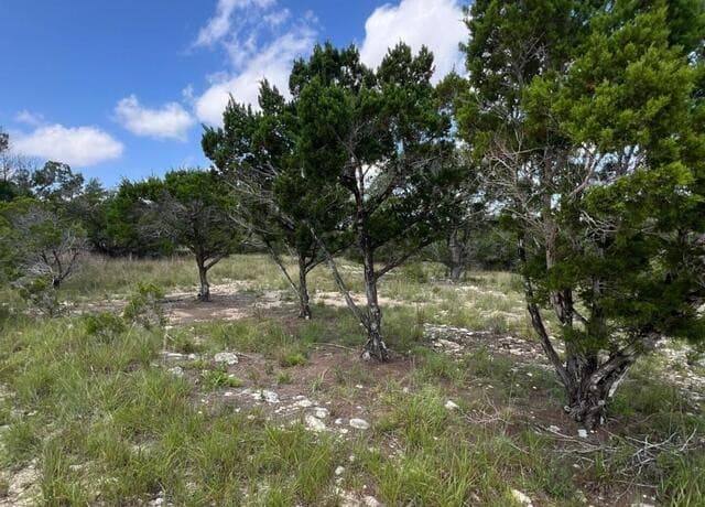 1188  Cliff Dr, Spring Branch, TX 78070 — photo 4