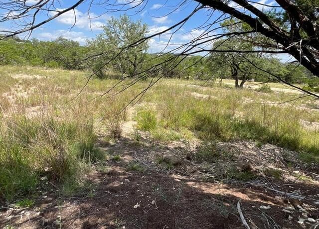 1188  Cliff Dr, Spring Branch, TX 78070 — photo 6