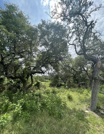 309  Jeff Vaughn, Blanco, TX 78606 — photo 12