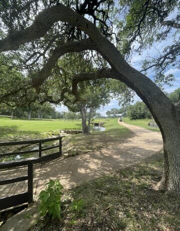 309  Jeff Vaughn, Blanco, TX 78606 — photo 8