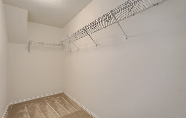 13927  Laurel Branch, San Antonio, TX 78245 — photo 21