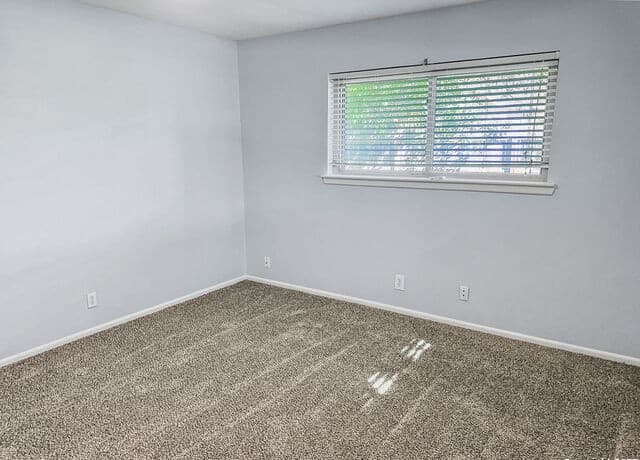 521  Paseo Canada St, Hollywood Park, TX 78232 — photo 8
