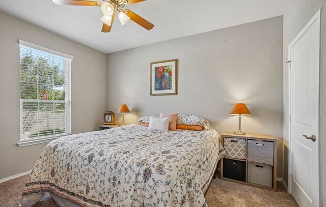 10858  Red Sage, Helotes, TX 78023 — photo 21