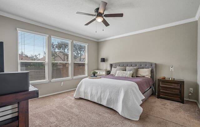 10858  Red Sage, Helotes, TX 78023 — photo 24