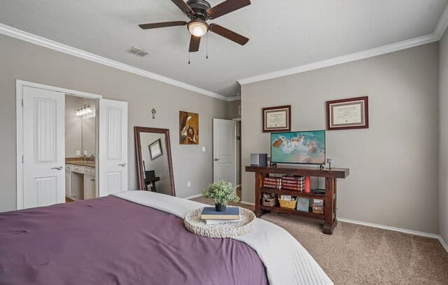 10858  Red Sage, Helotes, TX 78023 — photo 25
