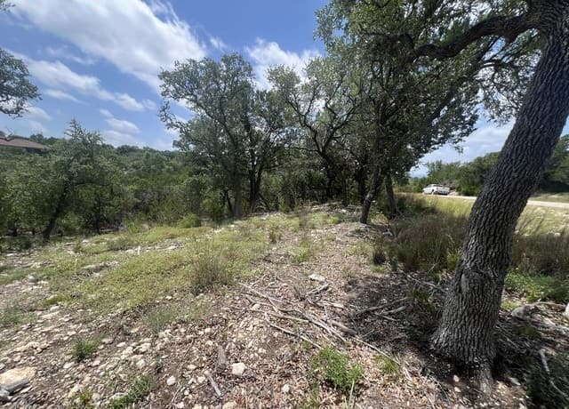 1252  Parton, Canyon Lake, TX 78133 — photo 11