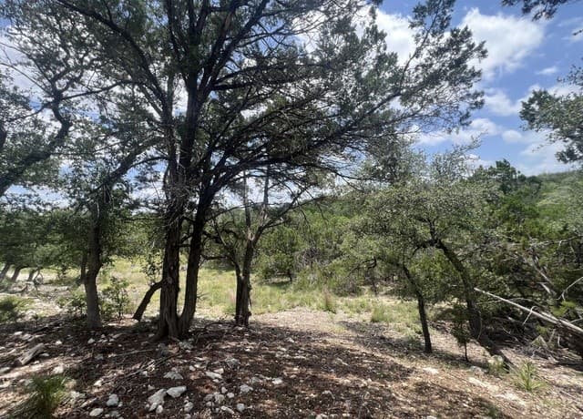 1252  Parton, Canyon Lake, TX 78133 — photo 3