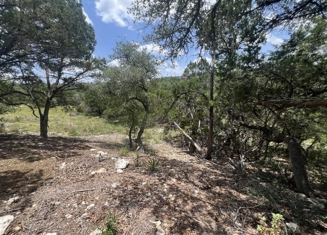 1252  Parton, Canyon Lake, TX 78133 — photo 9