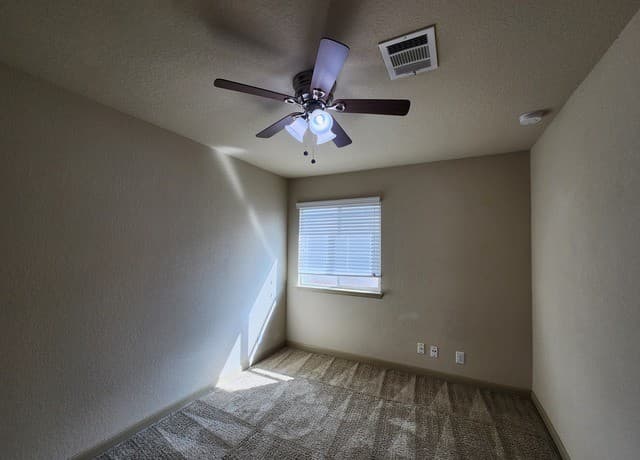 789  Great Oaks Dr, New Braunfels, TX 78130 — photo 14