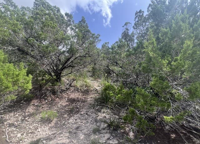268  Scenic Hills Dr, Canyon Lake, TX 78133 — photo 2