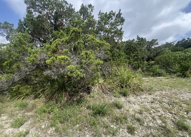 268  Scenic Hills Dr, Canyon Lake, TX 78133 — photo 3