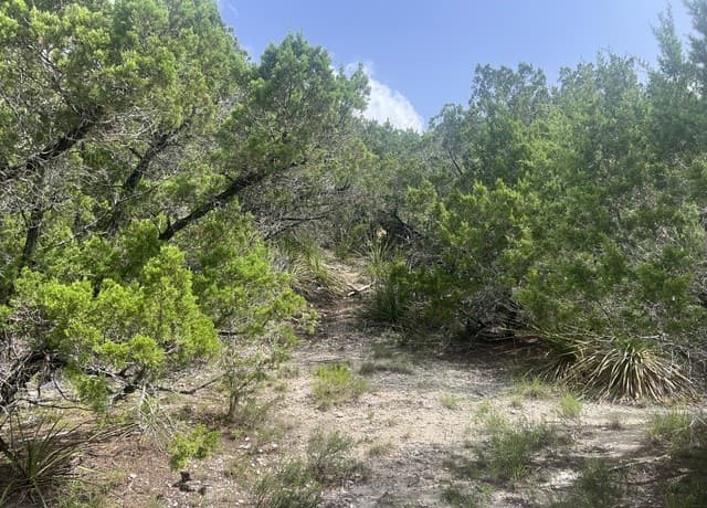 268  Scenic Hills Dr, Canyon Lake, TX 78133 — photo 4