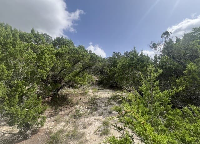 268  Scenic Hills Dr, Canyon Lake, TX 78133 — photo 7