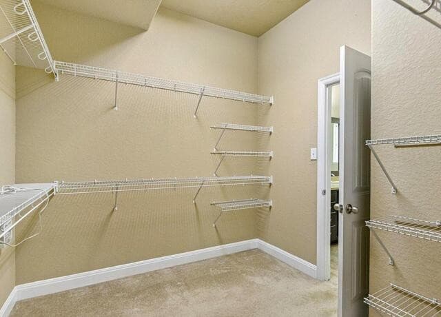 2949  Mistywood Ln, Schertz, TX 78108 — photo 24