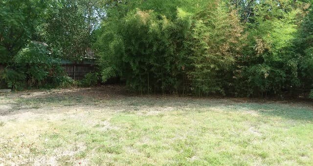 280  Post Ave, San Antonio, TX 78215 — photo 15