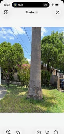 1026  Gibbs, San Antonio, TX 78202 — photo 4