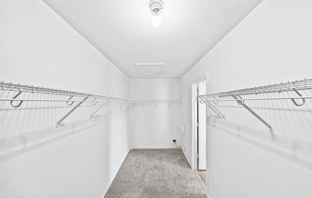 4426 Pinehurst Mesa, San Antonio, TX 78247 — photo 18