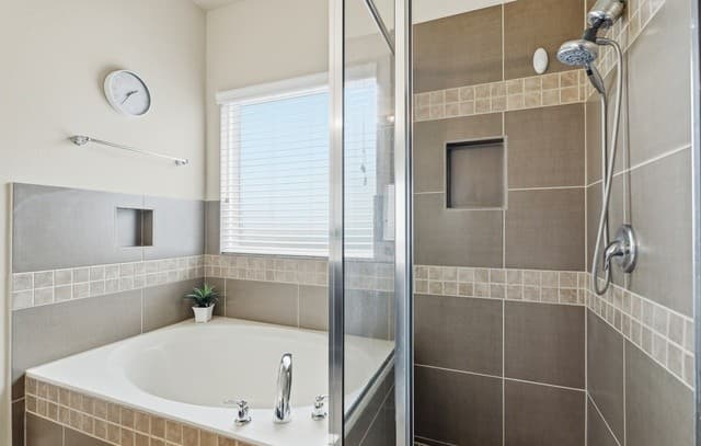 256  Albarella, Cibolo, TX 78108 — photo 12