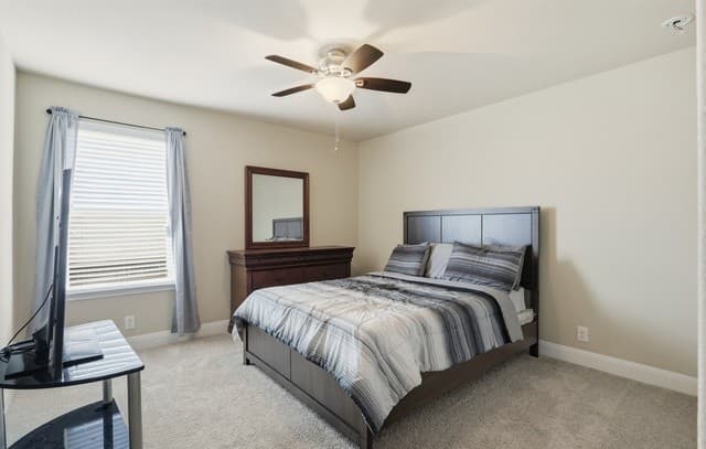 256  Albarella, Cibolo, TX 78108 — photo 16