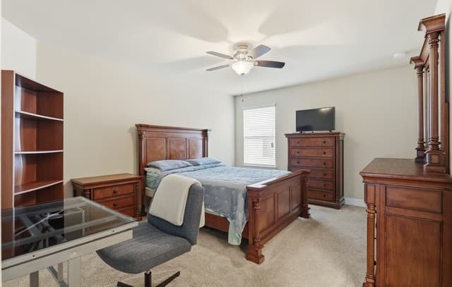 256  Albarella, Cibolo, TX 78108 — photo 17