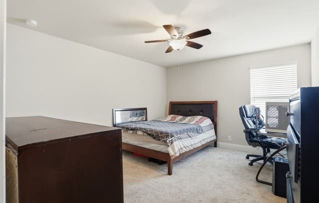 256  Albarella, Cibolo, TX 78108 — photo 23