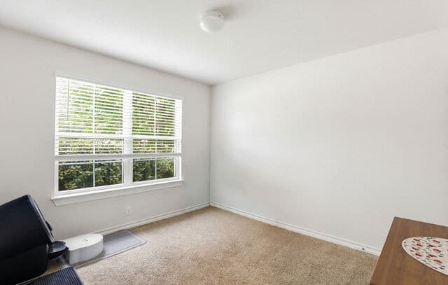 9514  Cord Grass, San Antonio, TX 78254 — photo 13