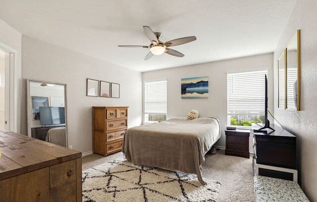 9514  Cord Grass, San Antonio, TX 78254 — photo 17