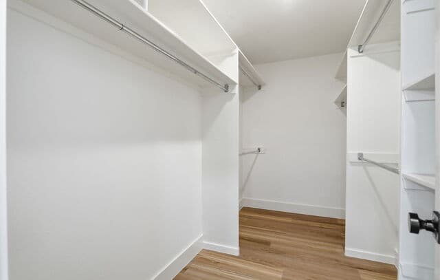 16923 Hidden Timber Wood, San Antonio, TX 78248 — photo 24