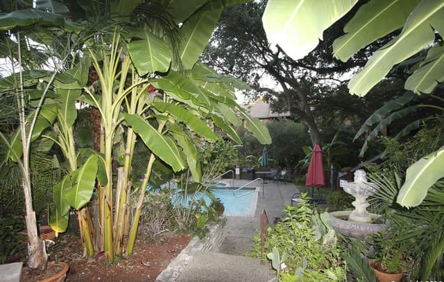4212  Medical Dr Unit 806, San Antonio, TX 78229 — photo 22